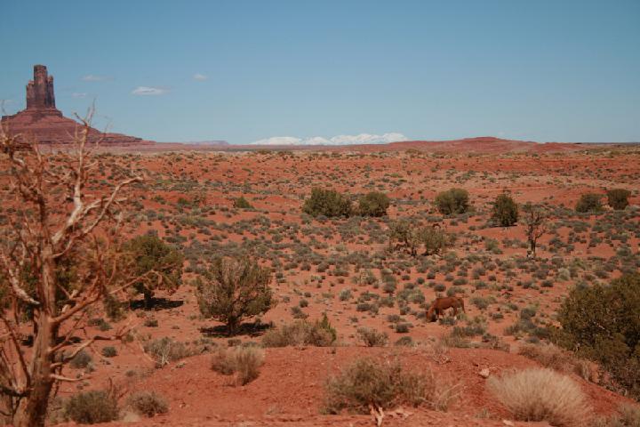 8-Monument valley 0022.JPG